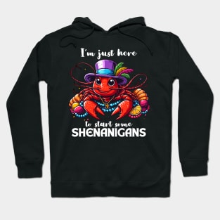 I'm Just Here To Start Some Shenanigans Hoodie